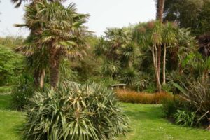 Golden Days by the Sea: Our Autumn Guide to Ventnor