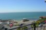 Christmas and New Year Availability