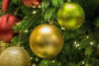 Christmas self-catering accommodation available in Ventnor Isle of Wight