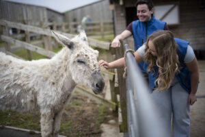 Free places to visit on the Isle of Wight