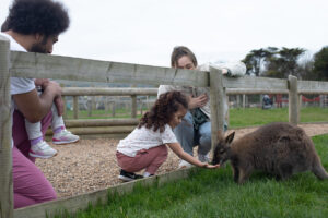 Tapnell farm - Isle of Wight