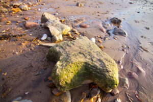 Family Adventures for kids on the Isle of Wight