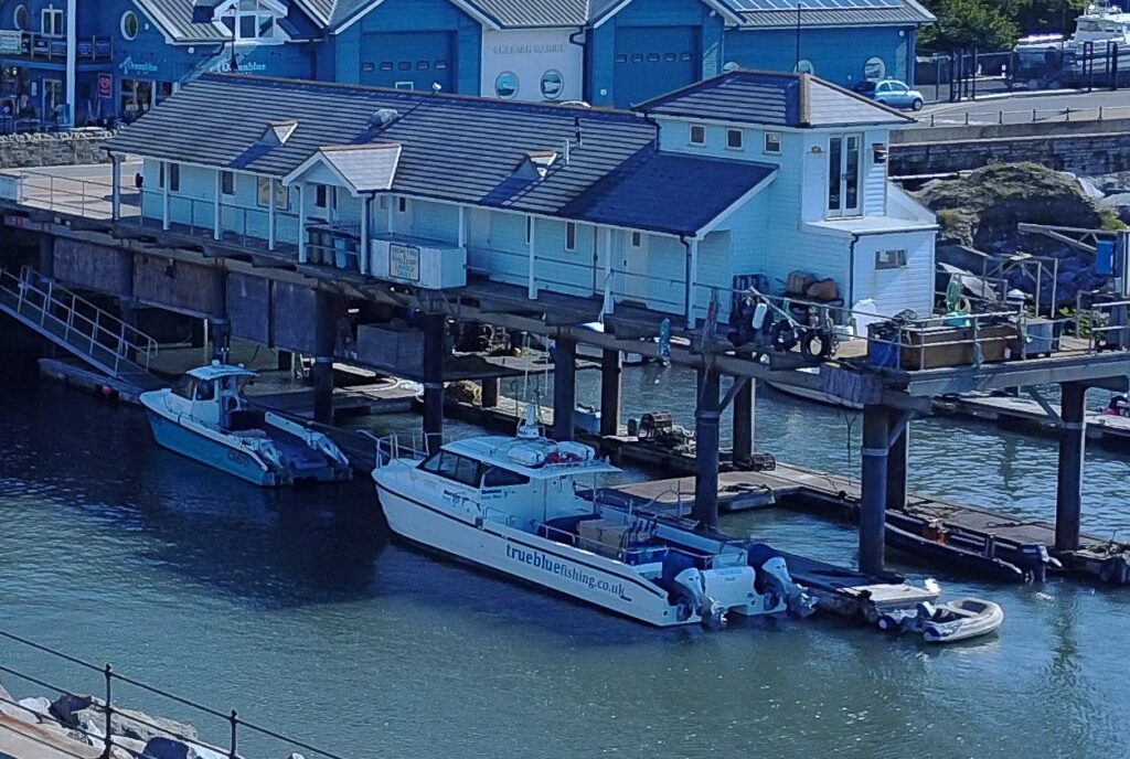 Ventnor Haven Fishery