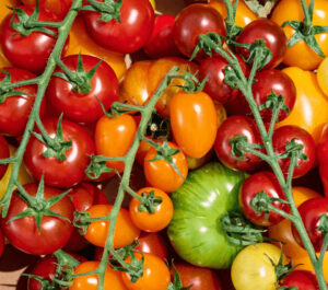 Tomato Stall Isle of Wight